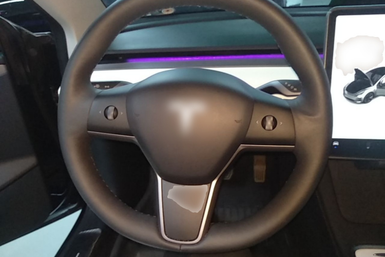 Tesla Model 3 2021 car image #11