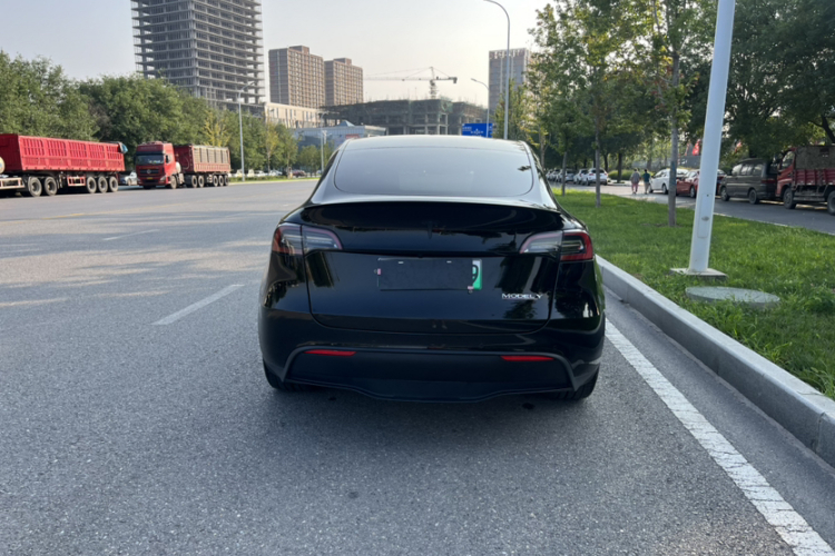 Tesla Model Y 2023 car image #29