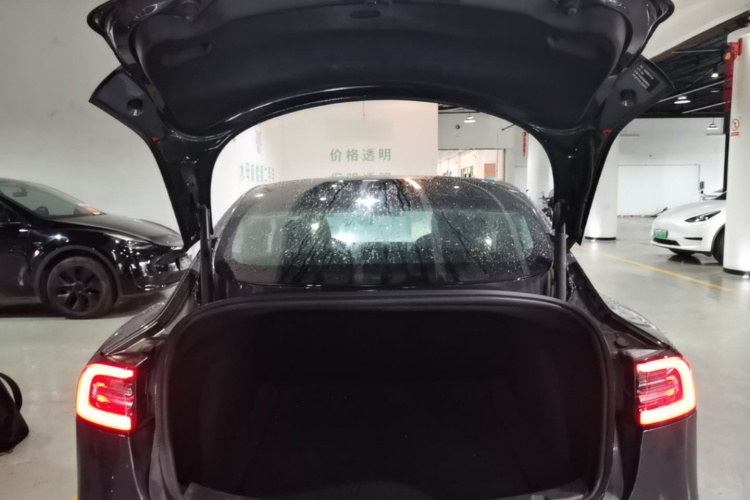 Tesla Model 3 2020 car image #19