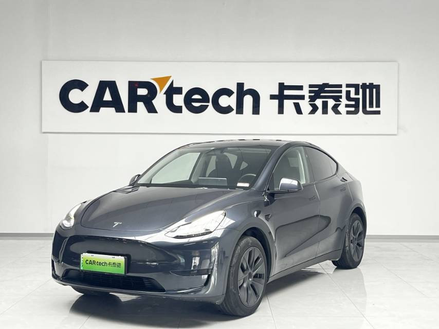 Tesla Model Y 2024 Tesla Model Y 2024 car image