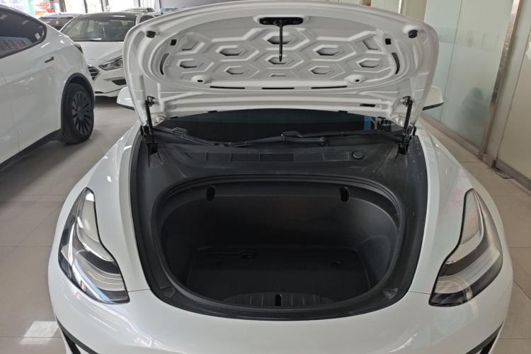 Tesla Model 3 2020 #20 Tesla Model 3 2020 car image #20