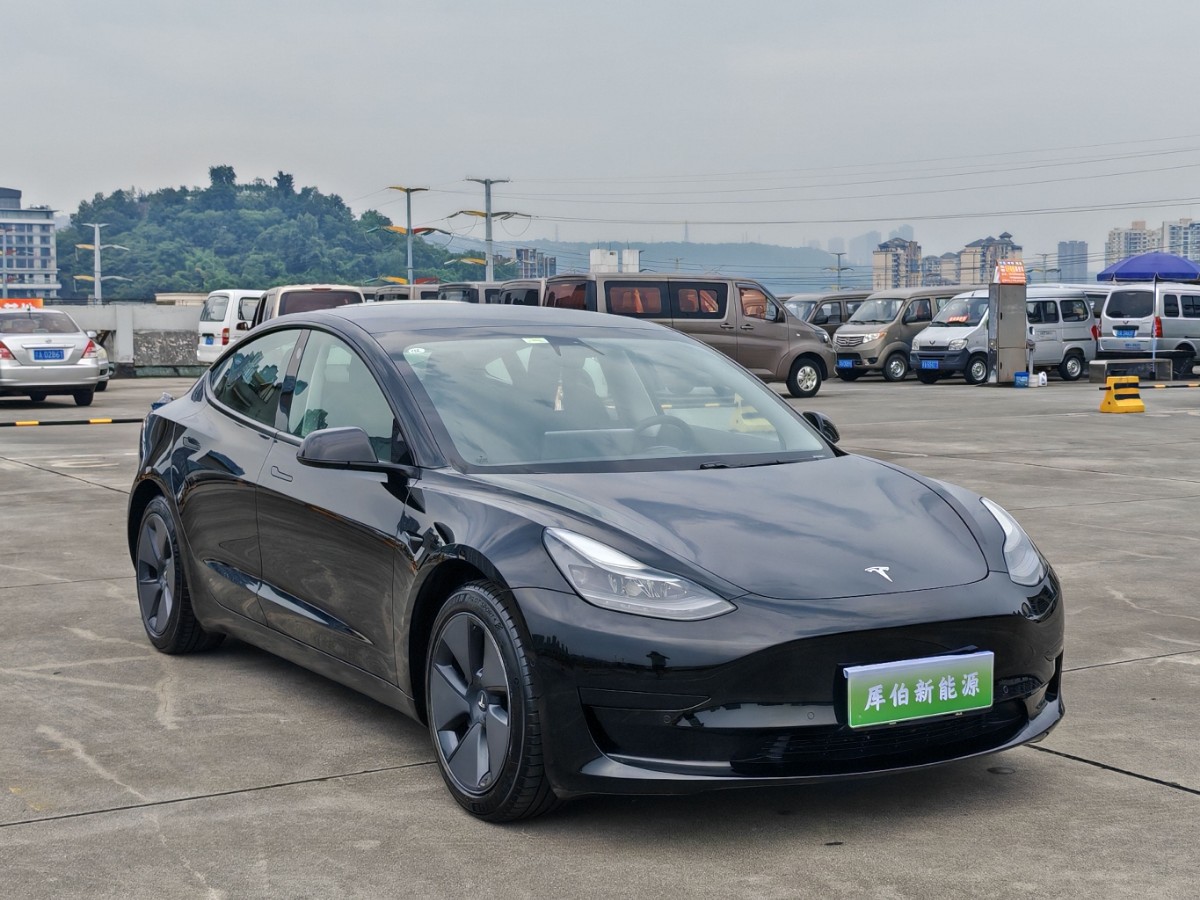Tesla Model 3 2021 #2 Tesla Model 3 2021 car image #2