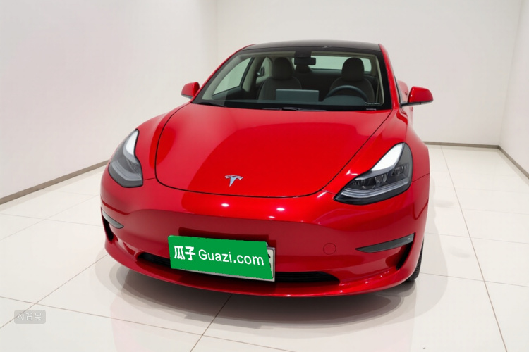 Tesla Model 3 2020 #3 Tesla Model 3 2020 car image #3