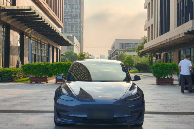 Tesla Model 3 2021 car image #3