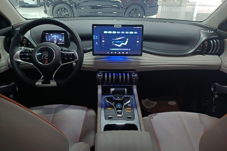 BYD Yuan Plus 2024 car image #10