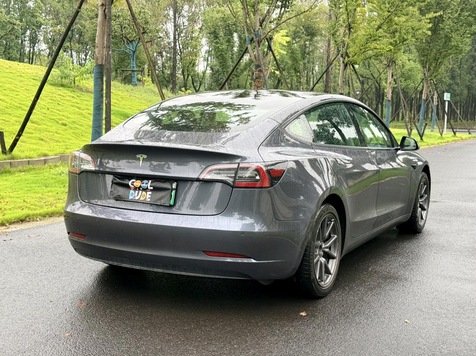 Tesla Model 3 2020 car image #7