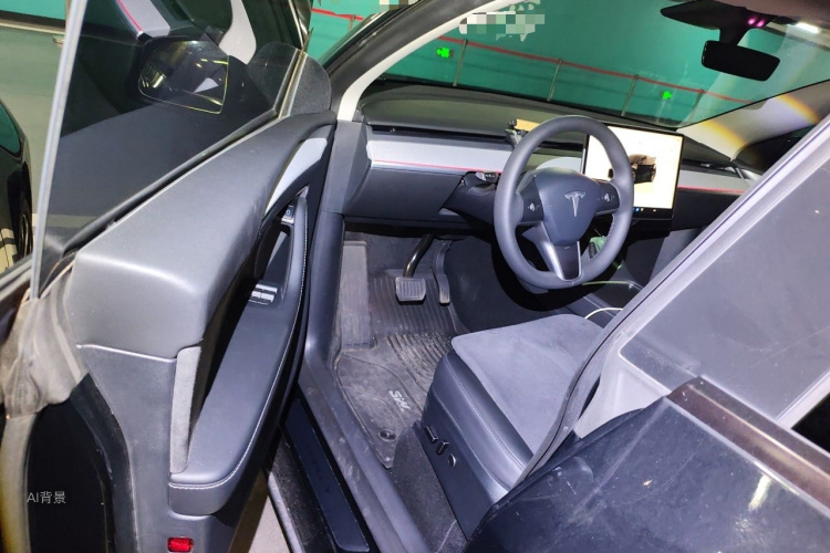Tesla Model Y 2023 car image #18