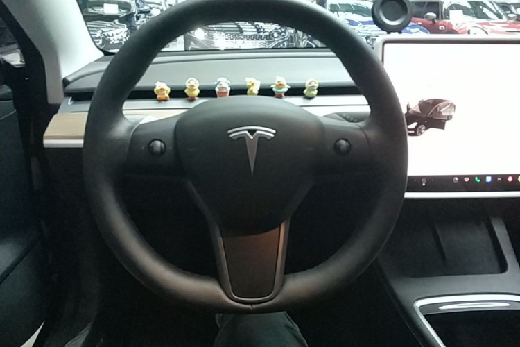 Tesla Model 3 2023 #11 Tesla Model 3 2023 car image #11