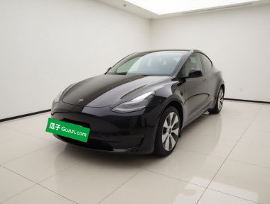 Tesla Model Y 2022 Tesla Model Y 2022 car image