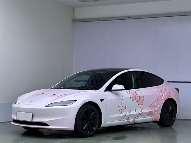 Tesla Model 3 2024 car image #19