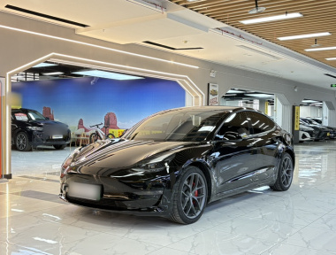 Tesla Model 3 2022 Tesla Model 3 2022 car image