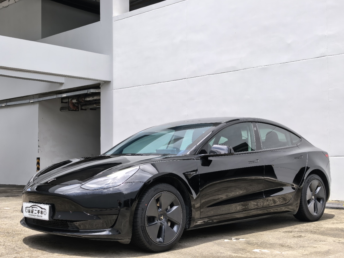 Tesla Model 3 2021 Tesla Model 3 2021 car image