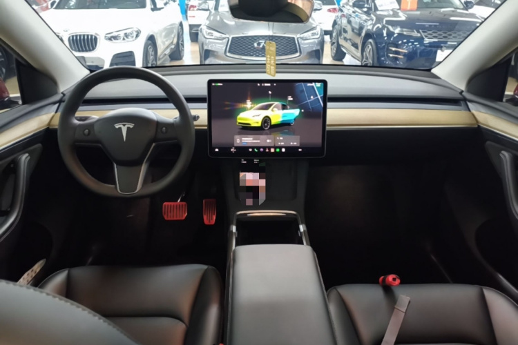 Tesla Model Y 2023 car image #10