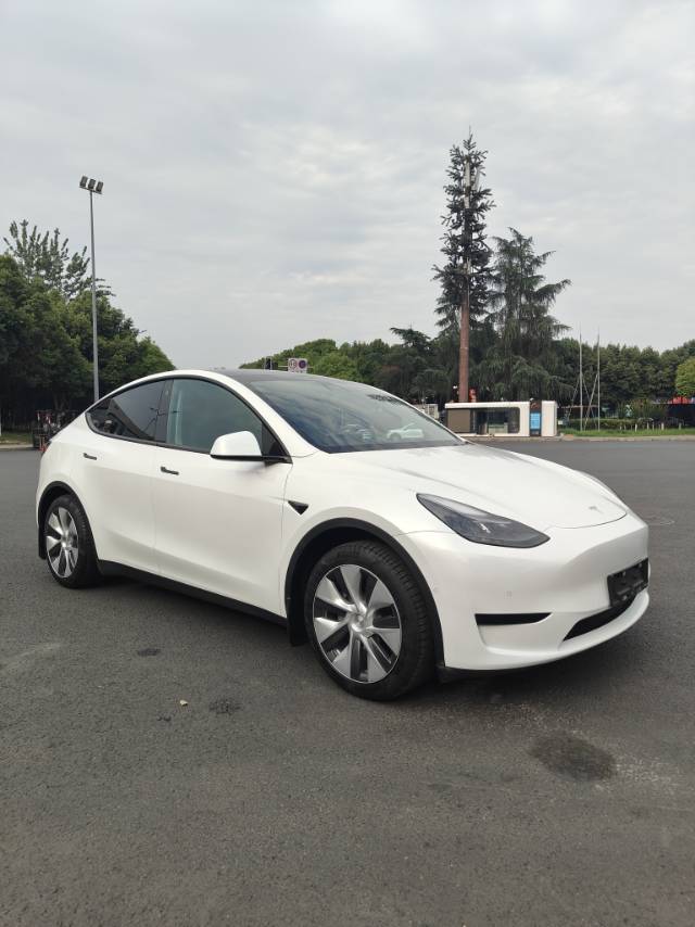Tesla Model Y 2023 #3 Tesla Model Y 2023 car image #3