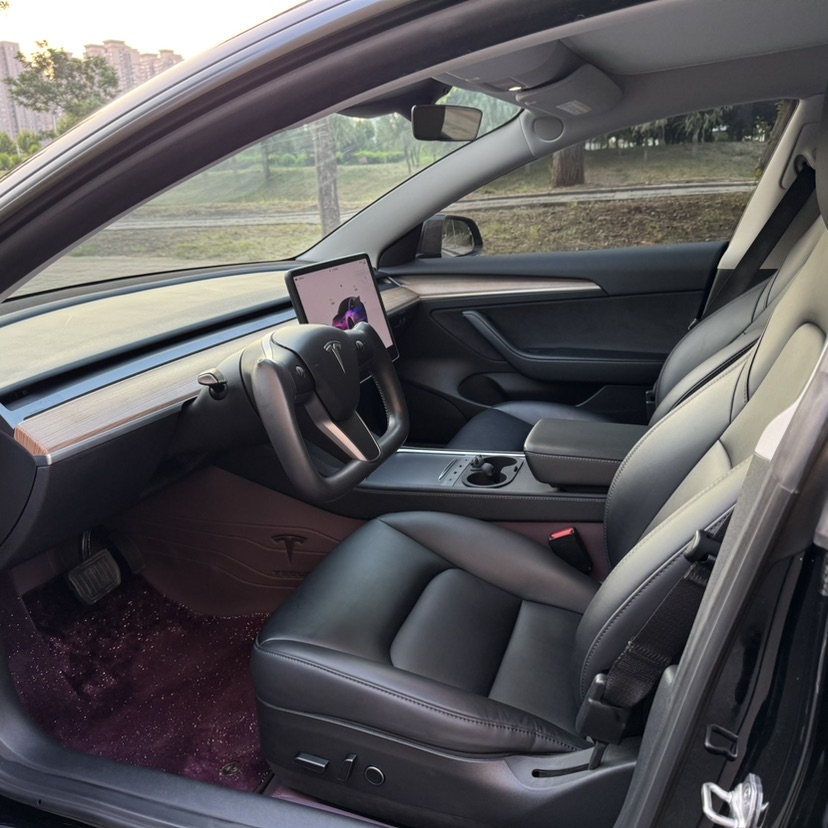 Tesla Model 3 2022 #5 Tesla Model 3 2022 car image #5