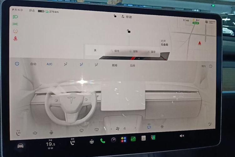 Tesla Model Y 2023 #13 Tesla Model Y 2023 imagen de coche #13