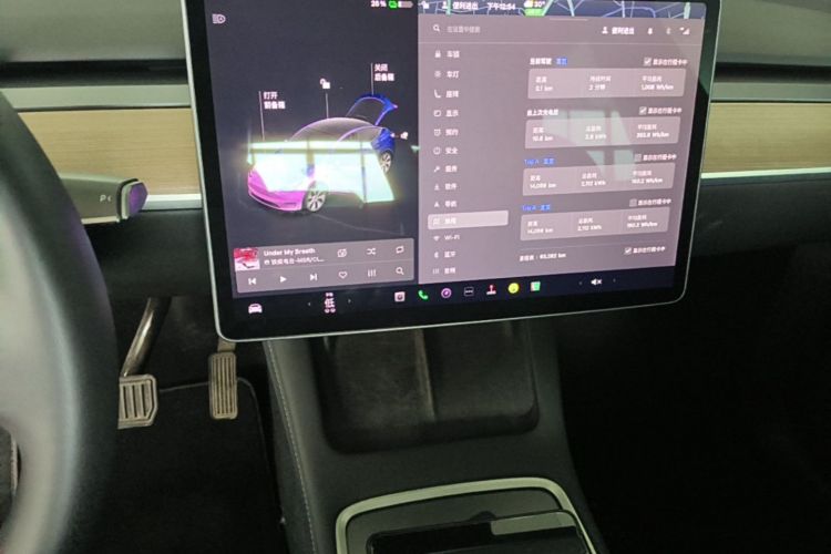 Tesla Model Y 2021 #15 Tesla Model Y 2021 car image #15