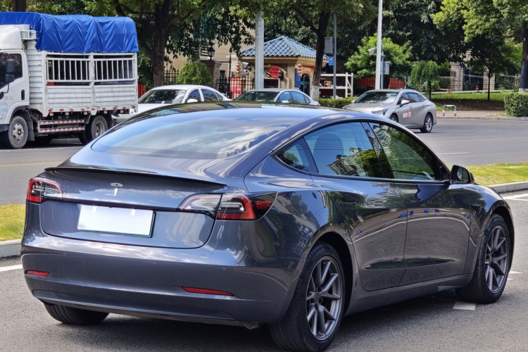 Tesla Model 3 2021 #5 Tesla Model 3 2021 car image #5