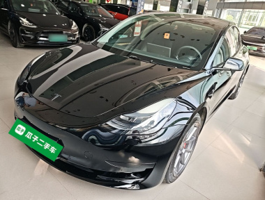 Tesla Model 3 2022 Tesla Model 3 2022 car image