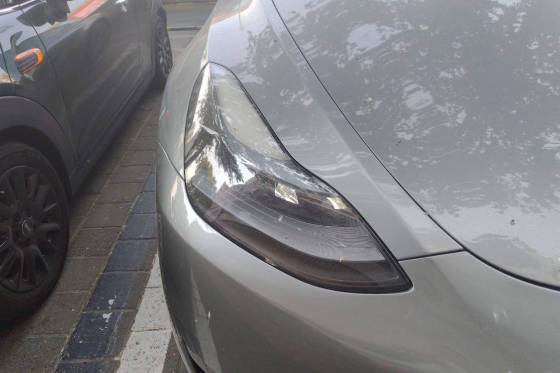 Tesla Model Y 2024 car image #7