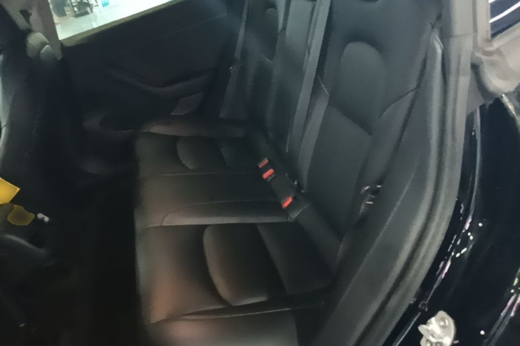 Tesla Model 3 2020 #13 Tesla Model 3 2020 immagine di auto #13