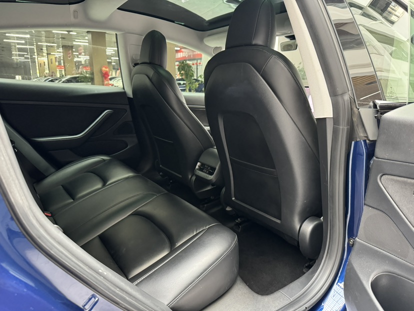 Tesla Model 3 2020 #22 Tesla Model 3 2020 car image #22