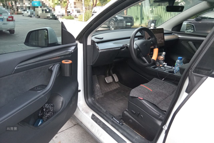 Tesla Model Y 2021 car image #18