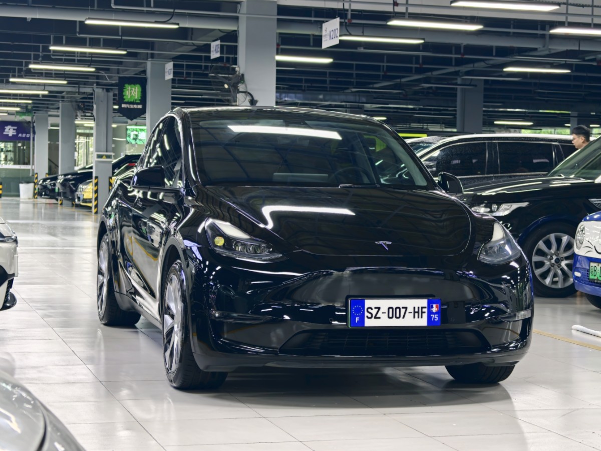 Tesla Model Y 2021 car image #3