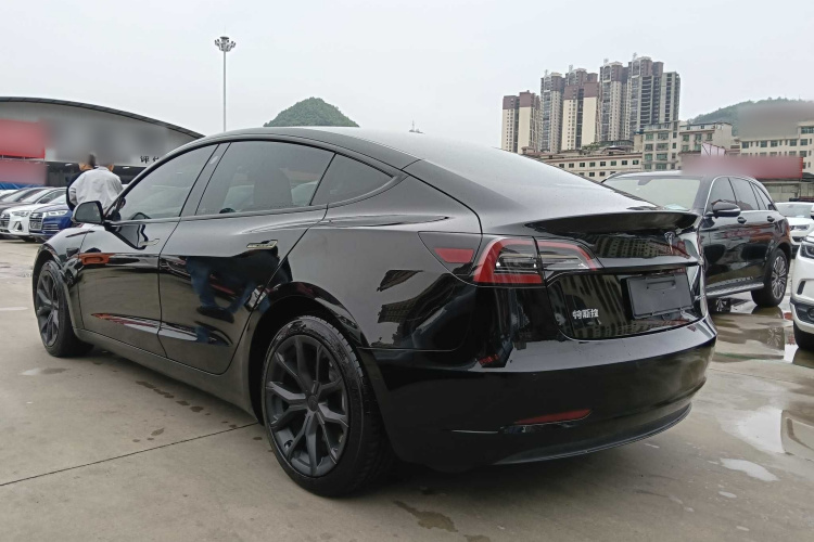 Tesla Model 3 2023 immagine di auto #7