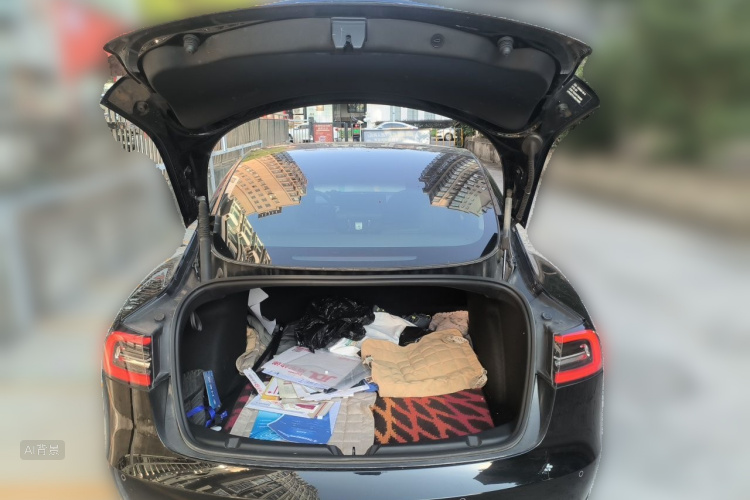 Tesla Model 3 2021 #21 Tesla Model 3 2021 image de voiture #21