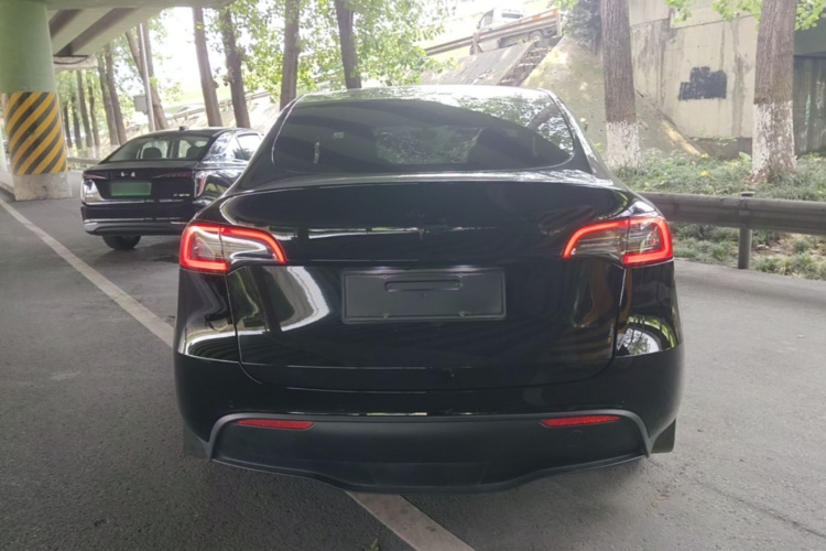 Tesla Model Y 2024 car image #6