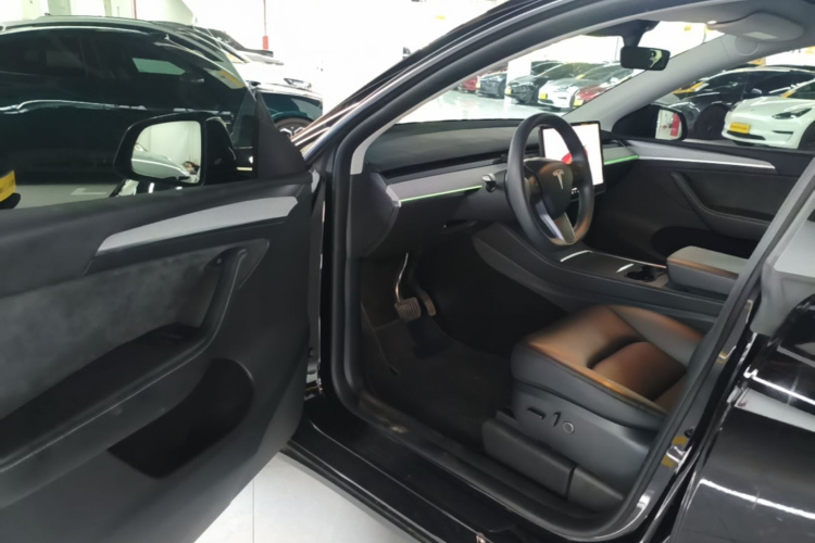 Tesla Model Y 2023 car image #16