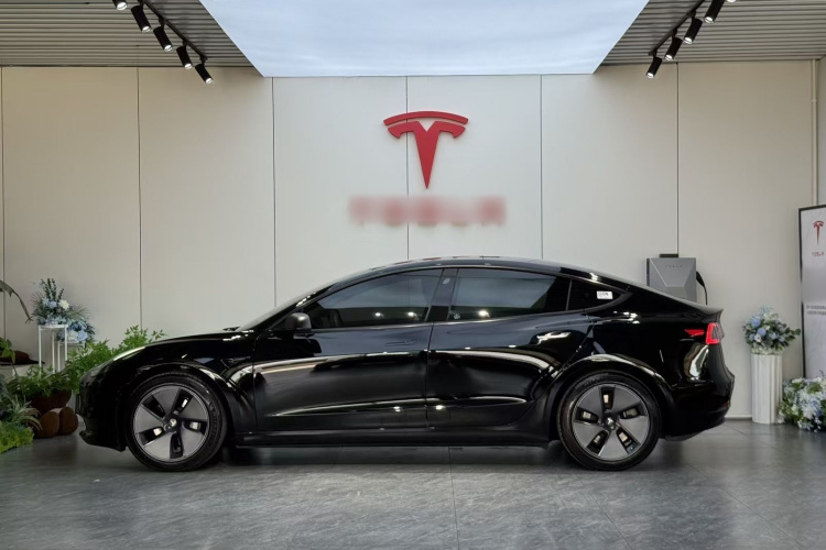 Tesla Model 3 2023 #5 Tesla Model 3 2023 car image #5