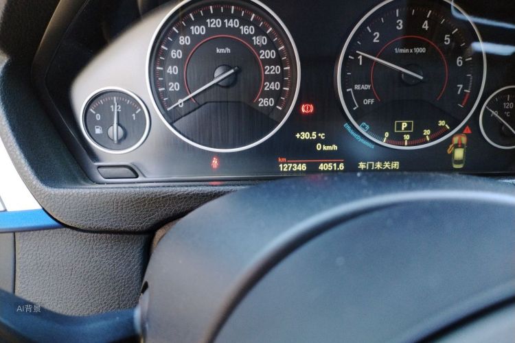 BMW 3 Series 2017 car image #14