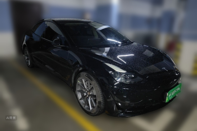 Tesla Model 3 2022 car image #4