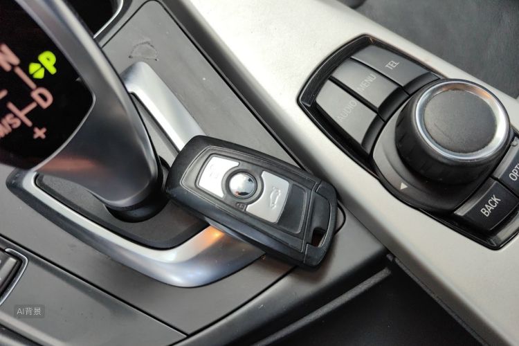 BMW 3 Series 2014 car image #10