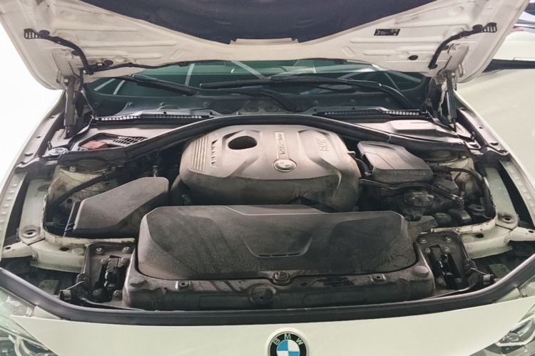 BMW 3 Series 2019 car image #22