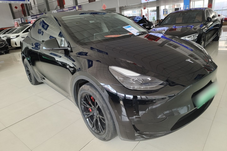 Tesla Model Y 2023 #4 Tesla Model Y 2023 car image #4