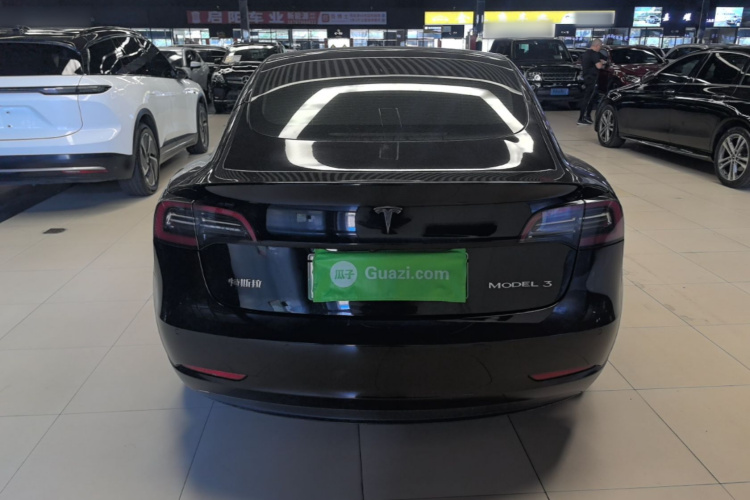 Tesla Model 3 2021 car image #6