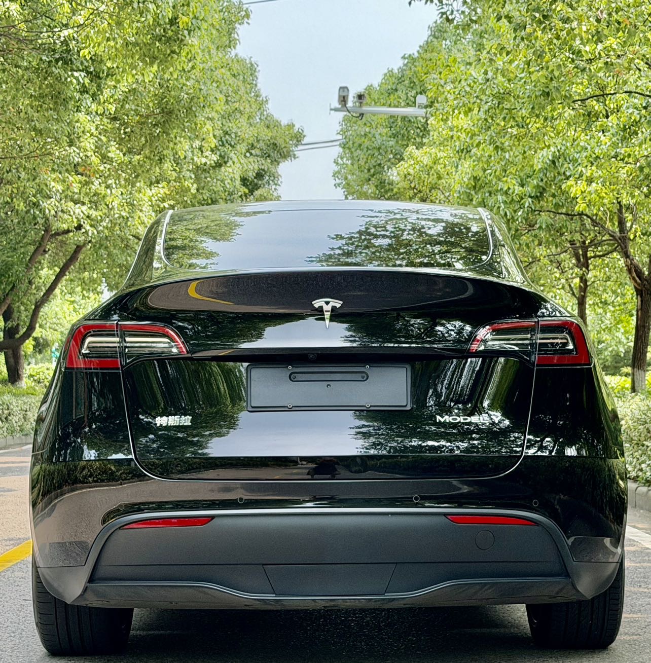Tesla Model Y 2023 car image #10