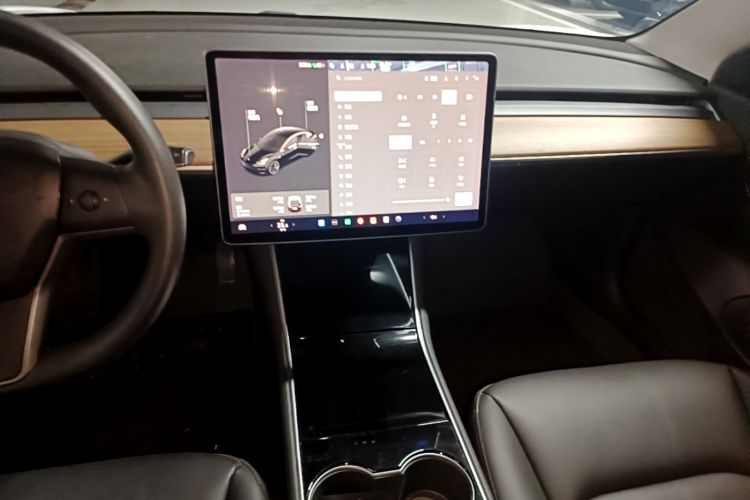 Tesla Model 3 2020 car image #13