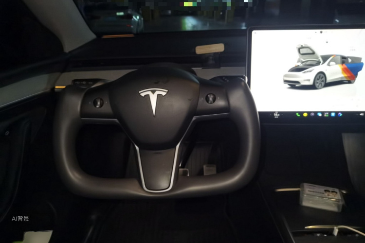 Tesla Model Y 2024 car image #12