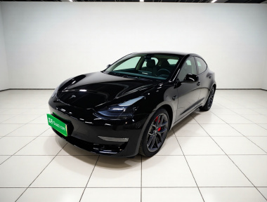 Tesla Model 3 2021 car image 