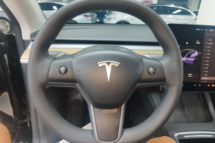 Tesla Model Y 2023 #15 Tesla Model Y 2023 car image #15