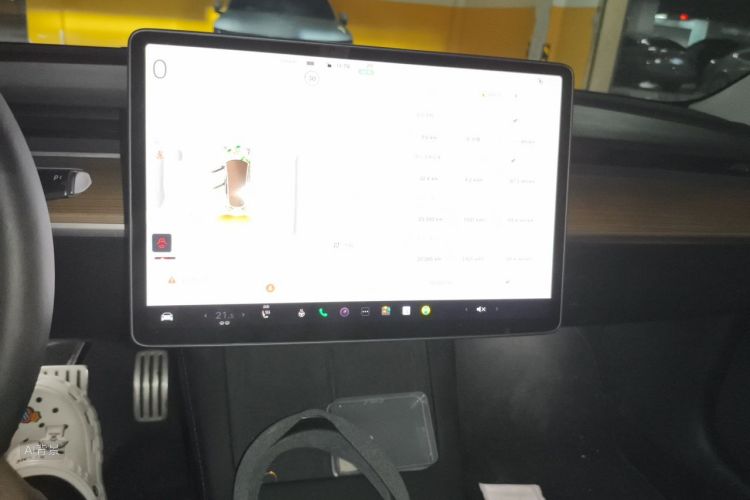 Tesla Model 3 2022 car image #15