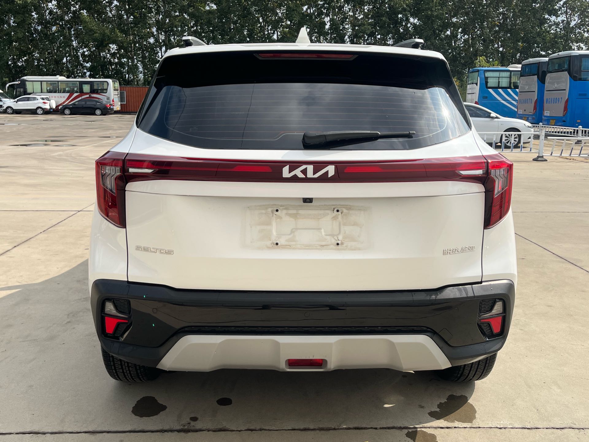 Kia Seltos 2024 immagine di auto #8