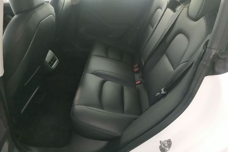 Tesla Model 3 2020 #17 Tesla Model 3 2020 car image #17