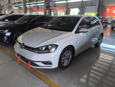 Volkswagen Golf 2019 car image 