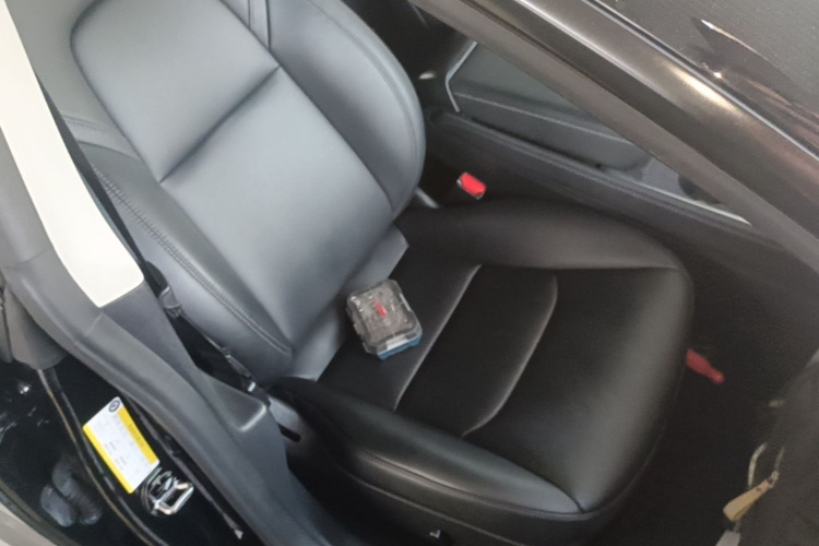 Tesla Model 3 2021 car image #24