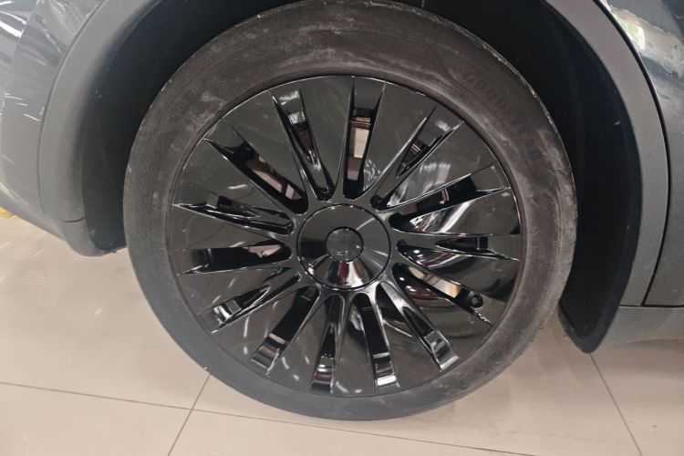 Tesla Model Y 2025 car image #4